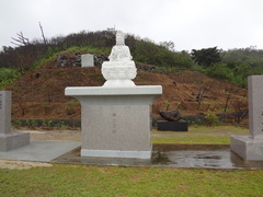 236.JPG