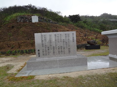 230.JPG